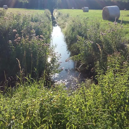 Im Gruenen - Carpe Diem Grammendorf